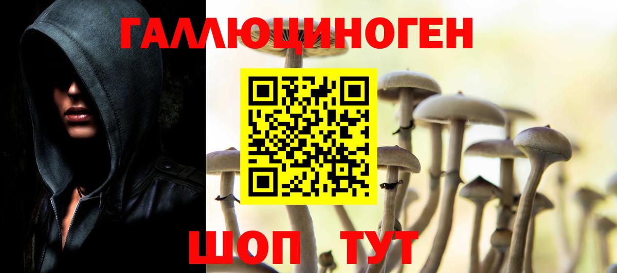 как найти   Псилоцибиновые грибы мицелий  Ишимбай  Вход с VPN  Псилоцибиновые грибы GOLDEN TEACHER 